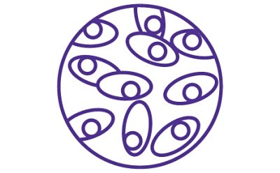 A purple line art design featuring a circular pattern with symmetrical elements that resemble cell line development. A purple line art design featuring a circular pattern with symmetrical elements that resemble cell line development.