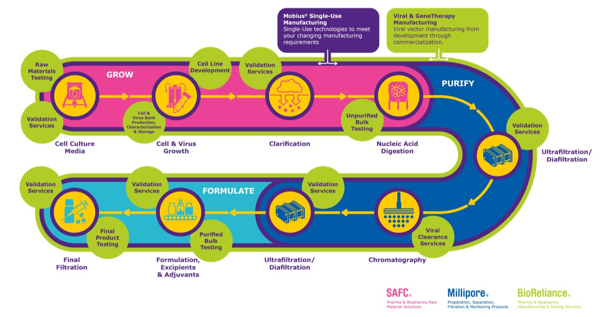 Gene therapy development: Grow, purify, formulate Gene therapy process infographic, from cell culture media to final filtration