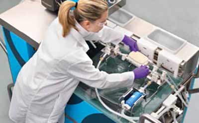Downstream purification activity Científico que trabaja diligentemente en un laboratorio, dedicado al procesamiento de los anticuerpos monoclonales.