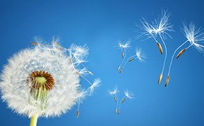 Analyse et QC pharmaceutiques
