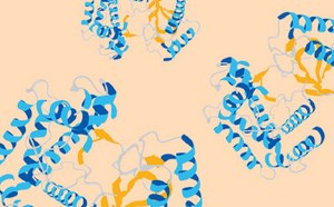 Representación molecular en espiral de estructuras proteicas azules y amarillas sobre fondo claro.