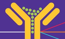 Principles of Flow Cytometry Introducción a la citometría de flujo