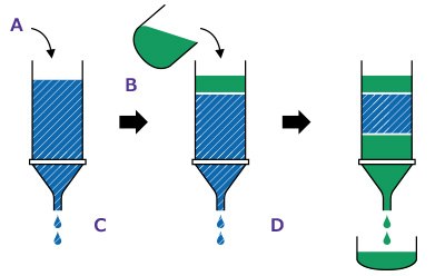 Step 2: Purification. Equilibrate the column. Add reaction mixture, start separation. Collect purified labeled protein solution. Step 2: Purification. Equilibrate the column. Add reaction mixture, start separation. Collect purified labeled protein solution.