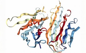 Esta imagen parece ser un modelo tridimensional de una compleja estructura proteica. La proteína está formada por múltiples hebras entrelazadas y plegadas, cada una de ellas coloreada de forma diferente para distinguir las distintas partes.