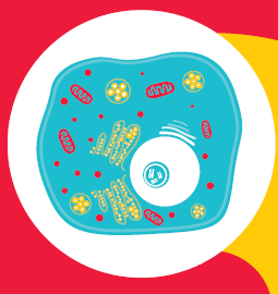 Preparación de las muestras para análisis de proteínas mediante espectrometría de masas Preparación de las muestras para análisis de proteínas mediante espectrometría de masas
