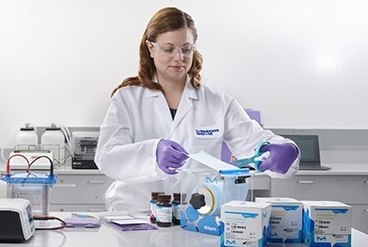 Laboratorio de inmunoelectrotransferencia. Técnica de transferencia Western para la detección de proteínas Laboratorio de inmunoelectrotransferencia. Técnica de transferencia Western para la detección de proteínas