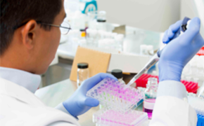 Research scientist filling plate