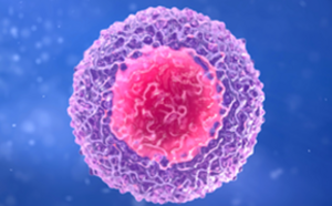 Investigaci&oacute;n en inmunolog&iacute;a