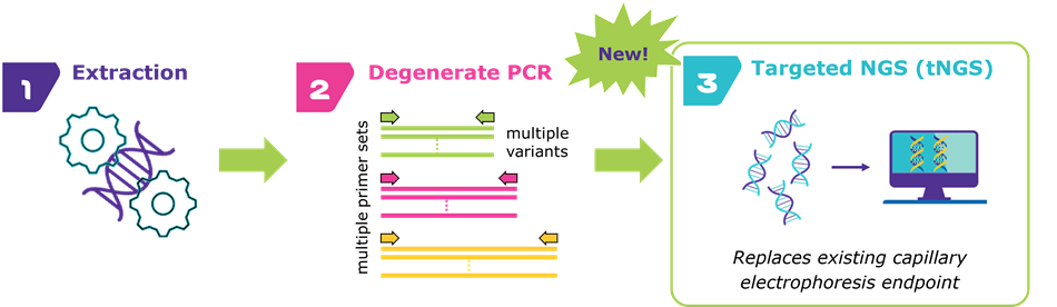 An infographic illustrating a three-step process for genetic analysis. The steps include "Extraction" with a graphic of DNA, "Degenerate PCR" showing a sequence of colored DNA strands, and "Targeted NGS (tNGS)" with a computer screen displaying DNA sequences. The infographic highlights the new tNGS method as a replacement for the existing capillary electrophoresis endpoint.