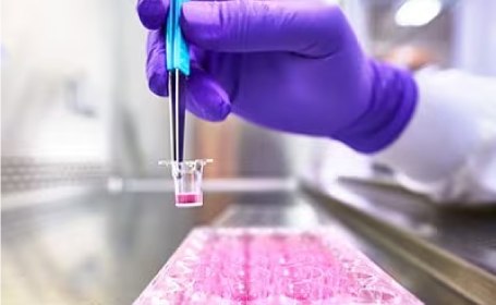 Scientist using Millicell® hanging cell culture inserts