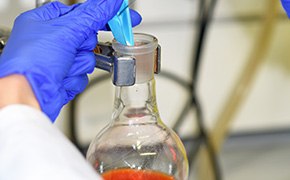 A person wearing blue gloves pours a blue powder or substance through a funnel into a round-bottom flask containing a red-orange liquid or solid in a laboratory setting. The flask is secured with a metal clamp.