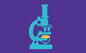Microbiology Sample Analysis Microbiology Sample Analysis