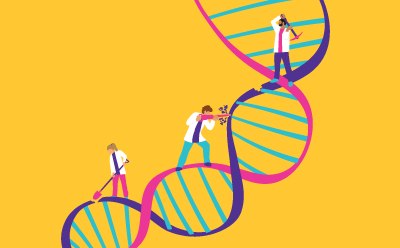 Benzonase® Salt Tolerant endonuclease Enzimas endonucleasas