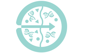 <p>Efficient plasmid pDNA purification</p>
 Iconography of purified plasmid DNA