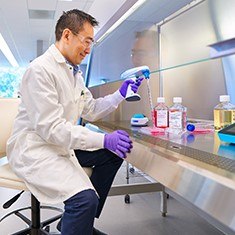 Scientist at Hood Scientist performing cell culture at the tissue culture hood. Scientist pipetting red media into a culture plate.