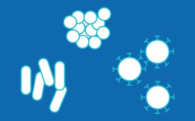 Endotoxin and Non-Endotoxin Pyrogens