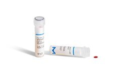 Se observa un disco Vitroids™ y LENTICULE® fuera del vial a la derecha y dentro del precinto del tapón de rosca a la izquierda