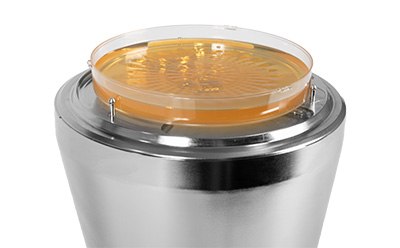 MAS-100 Sirius® Air Sampler with Size-Adaptable Plate Holder MAS-100 Sirius® Air Sampler with a size-adaptable plate holder that accommodates agar plates ranging from 55 to 90 mm, topped with ICR Settle Plates containing high-quality media.