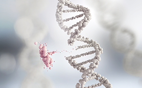 CRISPR/Cas9 es una herramienta de edición genómica dirigida, descubierta por primera vez en bacterias, que contiene dos componentes, un ARN guía (gRNA) y una nucleasa Cas9. CRISPR/Cas9 es una herramienta de edición genómica dirigida, descubierta por primera vez en bacterias, que contiene dos componentes, un ARN guía (gRNA) y una nucleasa Cas9.