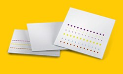 TLC silica gel plates Placas para TLC de gel de sílice donde se observan puntos coloreados claramente separados