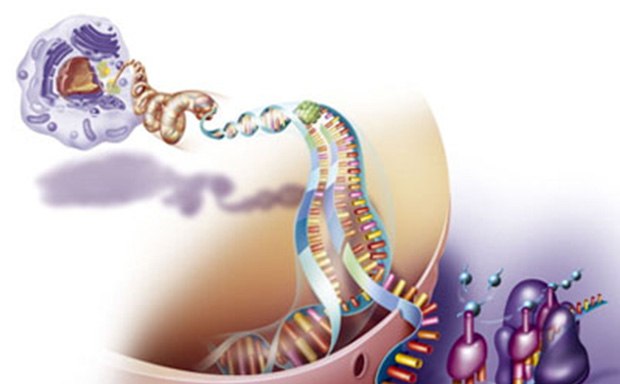 Amino Acids The image is a vibrant illustration of DNA replication. It shows a DNA molecule unwinding, with enzymes aiding in the separation of strands.
