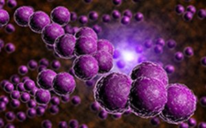 Vista de primer plano de una cadena de objetos esf&eacute;ricos de color morado contra un fondo borroso de objetos similares. Las esferas se agrupan en una formaci&oacute;n en forma de cuerda, que recuerda a una estructura molecular o una cadena de bacterias. Cada esfera tiene una superficie texturizada, que le da un apariencia realista. El fondo consiste en numerosas esferas m&aacute;s peque&ntilde;as desenfocadas que crean una impresi&oacute;n de profundidad y multitud. Hay una fuente de luz brillante en el centro del fondo que ilumina la escena con un brillo suave, potenciando el tono p&uacute;rpura