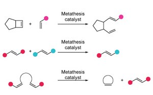 Three examples of chemical reactions facilitated by a metathesis catalyst. Each reaction sequence shows the transformation of initial reactants into products using simple molecular diagrams.