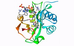 Un colorido modelo molecular en 3D que representa varios elementos de una estructura proteica con h&eacute;lices alfa en azul, l&aacute;minas beta en verde y amarillo, y complejas estructuras plegadas en naranja y rojo. La estructura at&oacute;mica detallada de un segmento se muestra con esferas que representan &aacute;tomos conectados por varillas que representan enlaces.