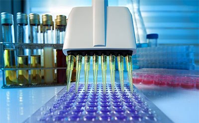 Metabolism Assay Kit in Lab Un entorno de laboratorio. La atención se centra en una pipeta multicanal que dispensa un líquido morado en una bandeja de pocillos. En el fondo, hay tubos de ensayo con líquidos amarillos y verdes sostenidos en una gradilla. El resto de materiales de laboratorio están difuminados en el primer plano y el fondo, enfatizando el enfoque en la pipeta y la bandeja de pocillos.