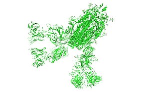 Ilustraci&oacute;n de la glucoprote&iacute;na de la espiga del SARS-CoV-2 en verde sobre un fondo blanco, que representa la estructura de la prote&iacute;na responsable de la fijaci&oacute;n del virus a las c&eacute;lulas humanas.