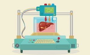 Ilustración que muestra el proceso de creación de un corazón humano capa a capa con biotinta utilizando una impresora 3D