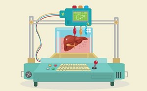 Ilustración estilizada de una bioimpresora en 3D, con un panel de control con botones y una pantalla que muestra un gráfico. La impresora aparece creando un modelo realista de un órgano humano, posiblemente un corazón, suspendido en una cámara transparente llena de líquido.