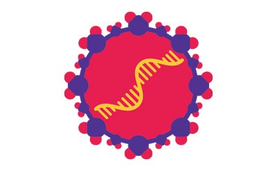 NanoFabTx™ liposome Ilustración de una liposoma con ácidos nucleicos encapsulados NanoFabTx™ para implantación génica.