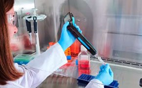 Cell Counting Eqipment The image depicts a person in a lab coat conducting an experiment using a lab equipment.