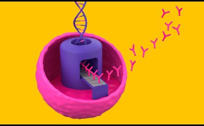 Cell Line Platform CHOZN<sup>®</sup> Elite 3D illustration of a pink cell with a purple nucleus, DNA helix above, and pink Y-shaped antibodies emerging, set against a yellow background.