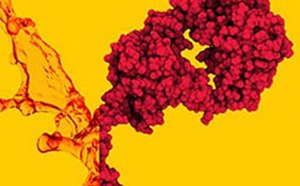 Una imagen vibrante que captura un racimo de uvas rojas salpicando contra un llamativo fondo amarillo, lo que crea un efecto visual vivo y dinámico.