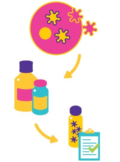 VirusExpress® Lentivirus Production Platform Ilustración gráfica que representa el proceso de tratamiento de un virus, comenzando con una placa de Petri rosa con bacterias amarillas, en la parte superior, que dirige a dos botellas de medicamento en amarillo y azul, y concluye con un portapapeles donde se observa una marca de verificación verde, que simboliza la finalización exitosa del tratamiento.