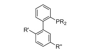 Chemical structure showing a biphenyl backbone A chemical structure showing a biphenyl backbone with a phosphine group (PR₂) attached to the ortho position of the upper phenyl ring. The lower phenyl ring has two substituents labeled R′ and R″ at the ortho and para positions relative to the biphenyl linkage.