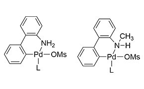 Buchwald Gen 3-4 Precatalysts Diagram of Buchwald Gen 3 and Gen 4 precatalysts