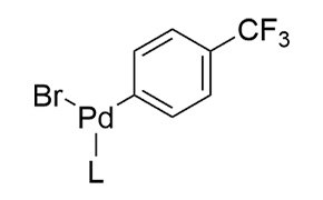Buchwald Gen 6 Precatalysts Diagram of Buchwald Gen 6 precatalyst