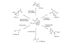 Organocatalizadores