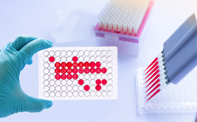 Animal Component Free Laboratory setting where a researcher, wearing a blue glove, is holding a white microtiter plate with red wells. The plate is prominently labeled “ANIMAL COMPONENT FREE,” indicating the use of animal-free reagents in the experiment. In the background, there are racks filled with pipette tips, highlighting the precision and cleanliness of the scientific work being conducted.