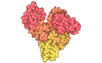 Representación colorida y compleja de un complejo proteico de seroalbúmina bovina (BSA). Se destaca la compleja estructura de la proteína BSA, enfatizando su papel como una proteína transportadora crucial, un patrón proteico y un suplemento de cultivo celular. La imagen pone de manifiesto la importancia de la BSA en diversos procesos biológicos y su importancia en el campo de la biotecnología. Representación colorida y compleja de un complejo proteico de seroalbúmina bovina (BSA). Se destaca la compleja estructura de la proteína BSA, enfatizando su papel como una proteína transportadora crucial, un patrón proteico y un suplemento de cultivo celular. La imagen pone de manifiesto la importancia de la BSA en diversos procesos biológicos y su importancia en el campo de la biotecnología.