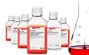 Classical Media Buffers Un conjunto de cinco botellas de laboratorio que contienen líquido rojo dispuestas en línea con una probeta graduada parcialmente llena con el mismo líquido rojo a la derecha, colocados sobre un fondo blanco.