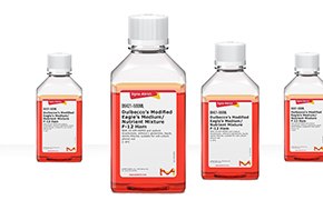 DMEM F12 Media Cuatro botellas de laboratorio que contienen líquido rojo, cuyo tamaño va aumentando progresivamente de izquierda a derecha, alineadas en horizontal sobre un fondo blanco.