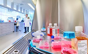 Una escena de laboratorio que muestra a un científico con una bata blanca de laboratorio de pie al fondo. En primer plano se observan varios equipos de laboratorio y recipientes llenos de un líquido rosa en una superficie de acero inoxidable. El laboratorio está bien iluminado, con muebles y equipos modernos visibles en el fondo.