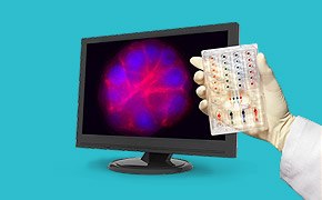 Microfluídica CellASIC® ONIX2