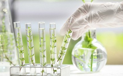 Reagents for plant cell, tissue and organ culture The image depicts a laboratory setting where a gloved hand selects one of several test tubes from a stand. Each test tube contains green plant stems immersed in a clear liquid, suggesting a botanical study or experiment.