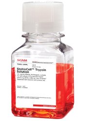 StableCell™ trypsin cell detachment reagent El reactivo tripsina para desprendimiento celular StableCell™ mantiene una actividad estable a temperatura ambiente