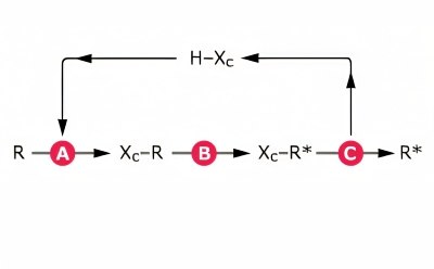 Chiral Auxiliary for Asymmetric Synthesis Diastereoselective transformation using chiral auxiliaries for asymmetric synthesis